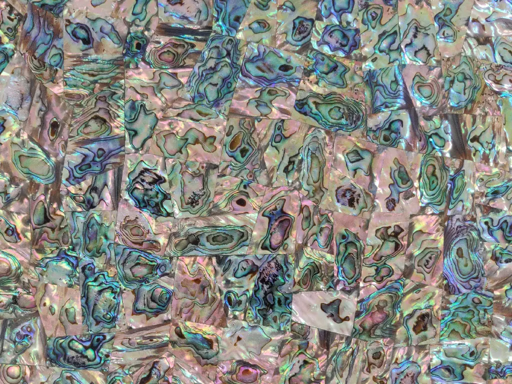 Abalone Shell Gemstone