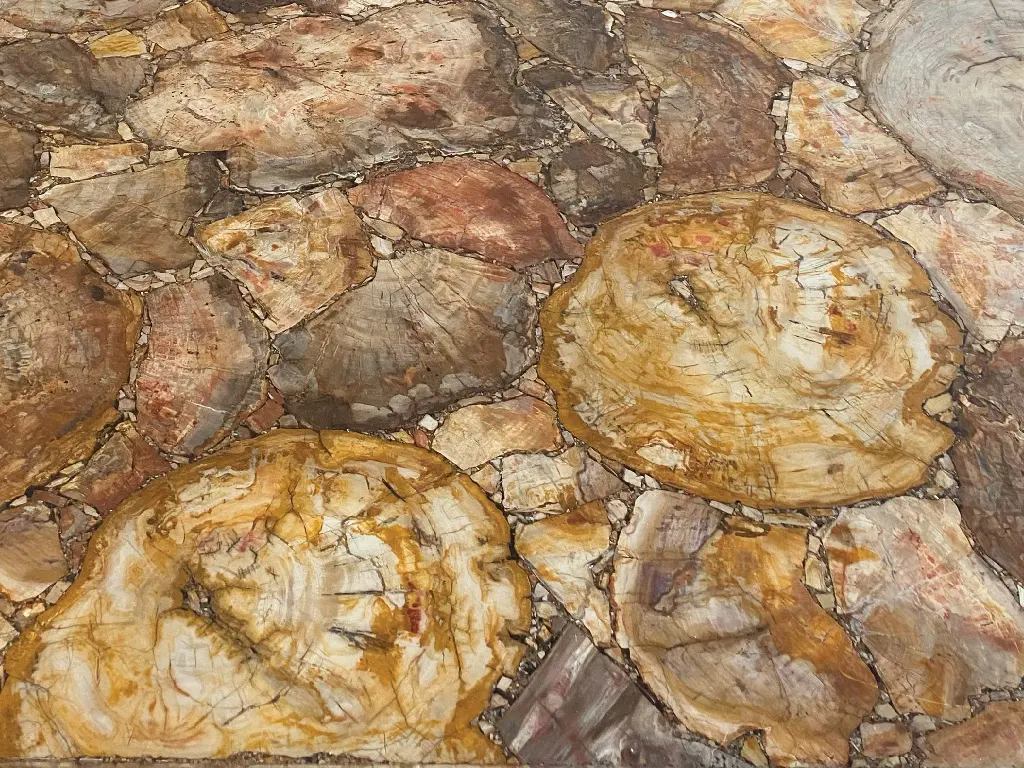 Petrified Wood Gemstone