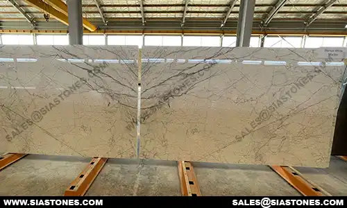 Bianco White Marble Slab 2