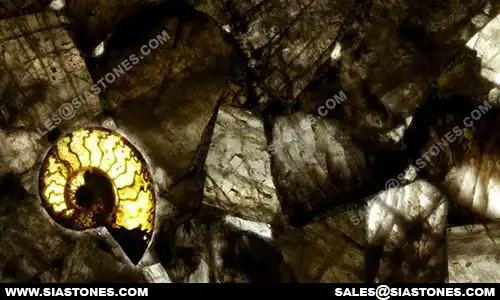 Dark Smoky Quartz Backlit