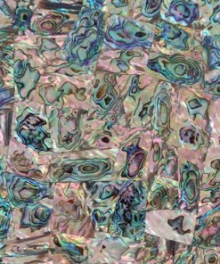 Abalone Shell Gemstone Tile Sample
