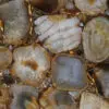 Brown Agate Tile Sample