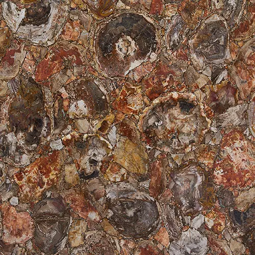 Red Petrified Wood Gemstone Tile Sample